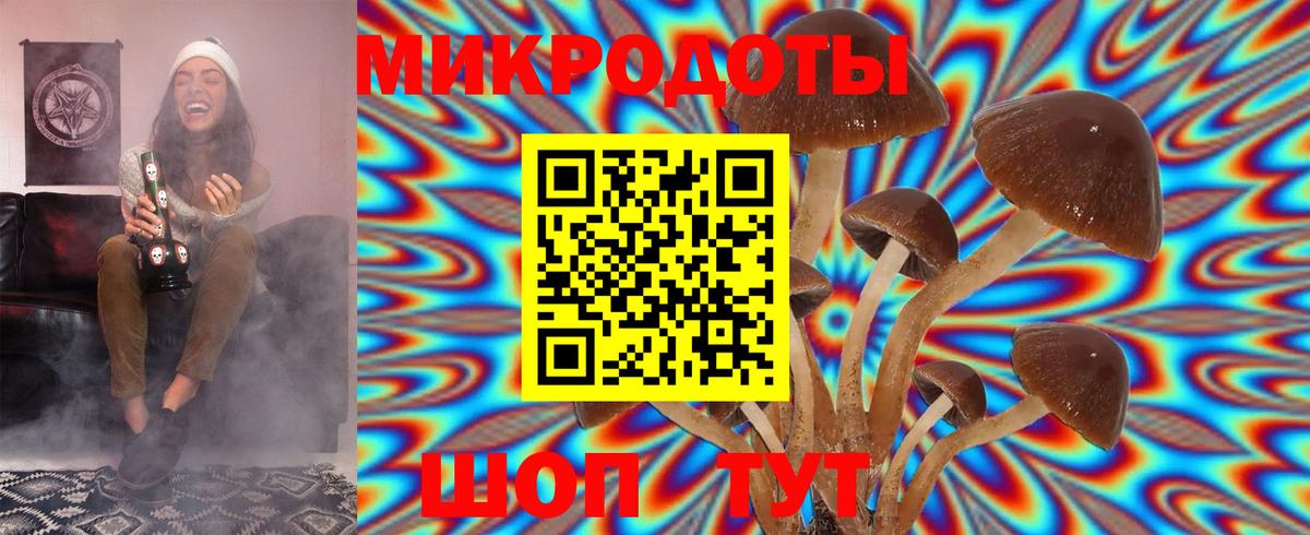 Псилоцибиновые грибы GOLDEN TEACHER Егорьевск