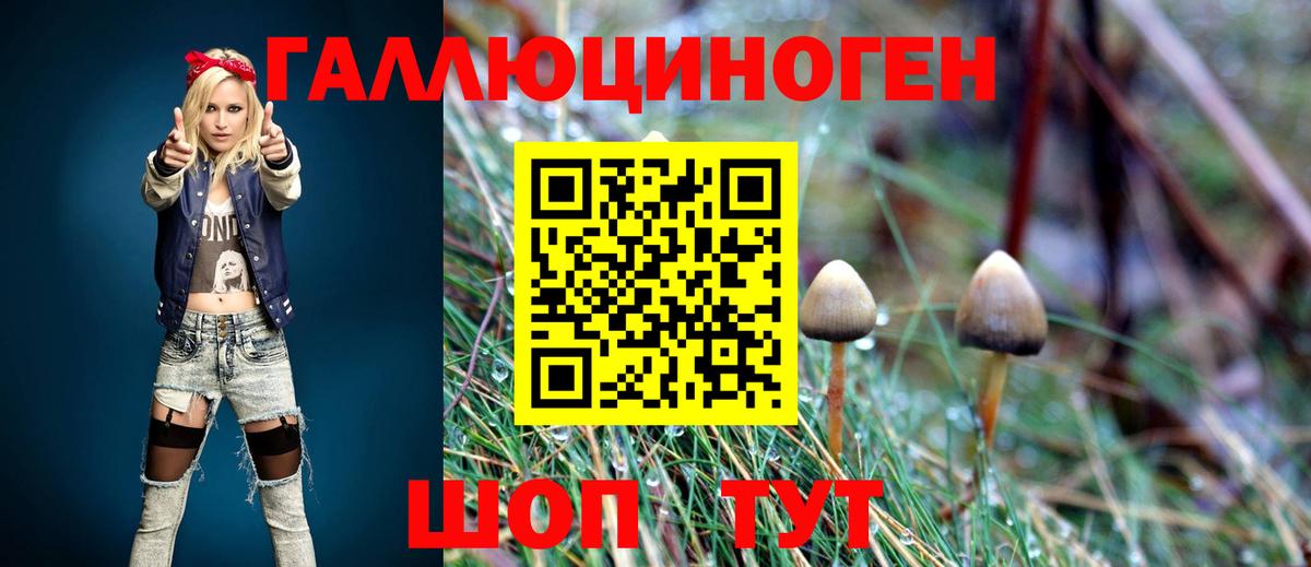 Галлюциногенные грибы ЛСД  Вход с VPN  Псилоцибиновые грибы мицелий  Егорьевск 